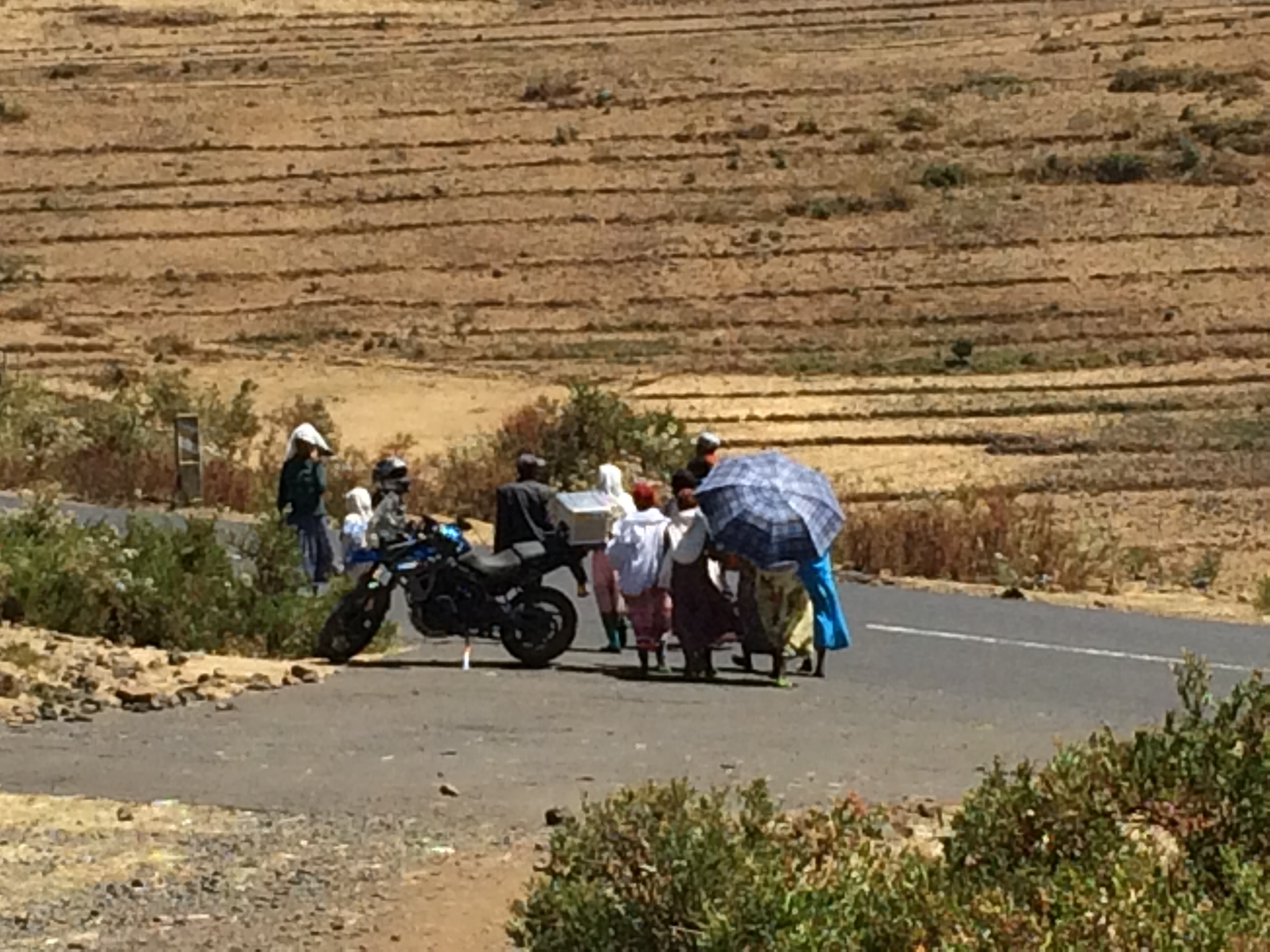 begging-from-triumph